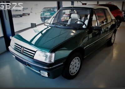 Peugeot 205 Roland Garros